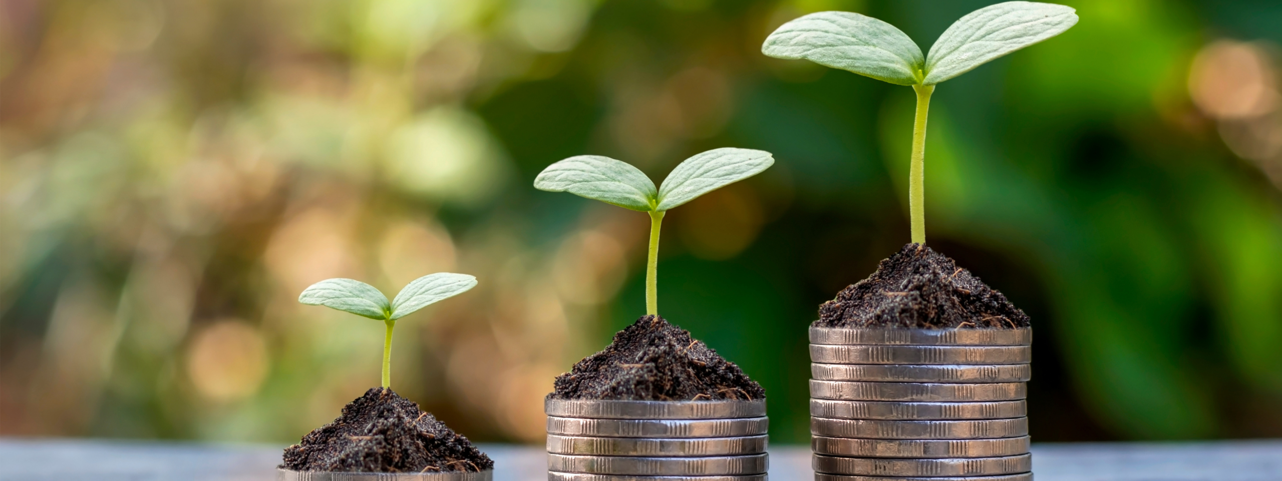 Grant Funding